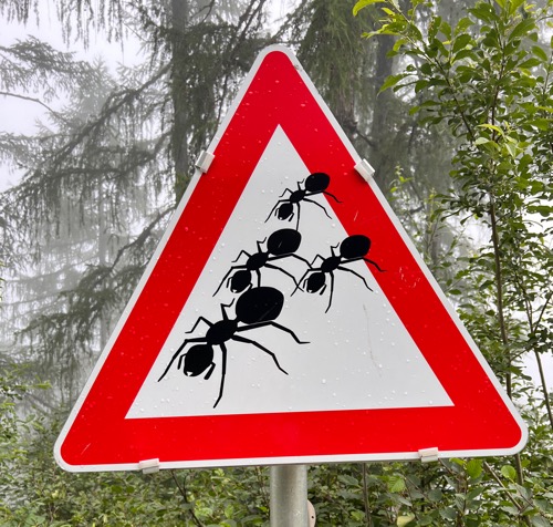 Salzburg-Triest Schild Killer Ameisen